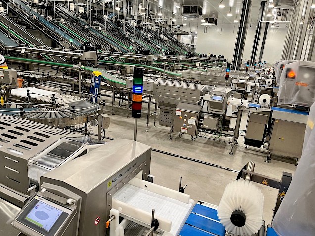 Conveyor Feed System